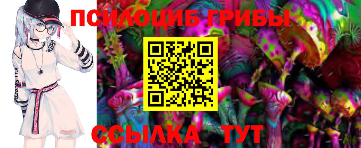 Петрозаводск  Галлюциногенные грибы Psilocybe  Вход с VPN 